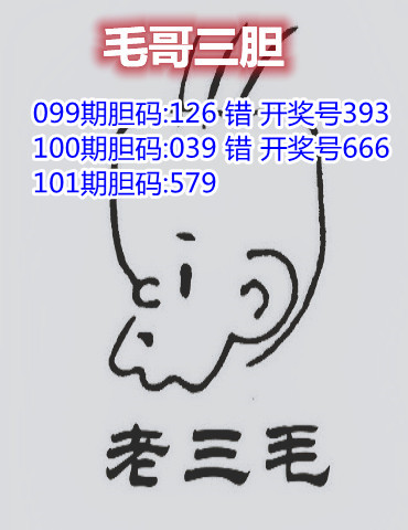 4毛哥三胆.jpg