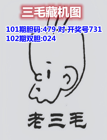 10三毛藏机图.jpg