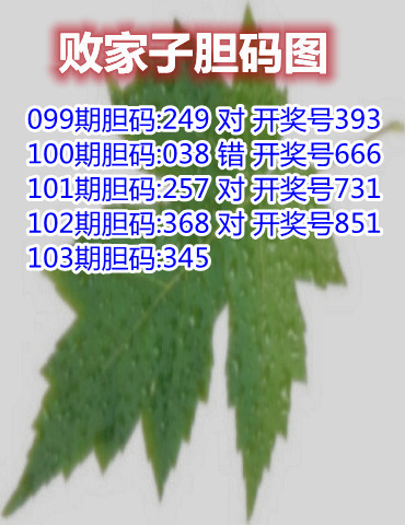 11败家子胆码_副本.jpg