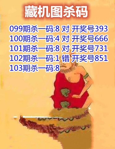 19藏机图杀码_副本.jpg