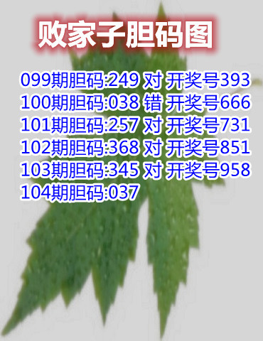 11败家子胆码_副本.jpg