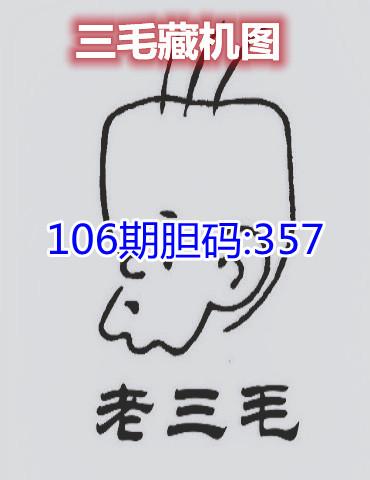 10三毛藏机图_副本.jpg